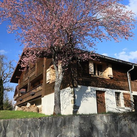 Sous Les Ecotagnes Villa Les Villards-sur-Thônes Exteriör bild