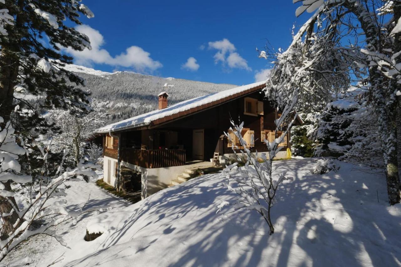 Sous Les Ecotagnes Villa Les Villards-sur-Thônes Exteriör bild