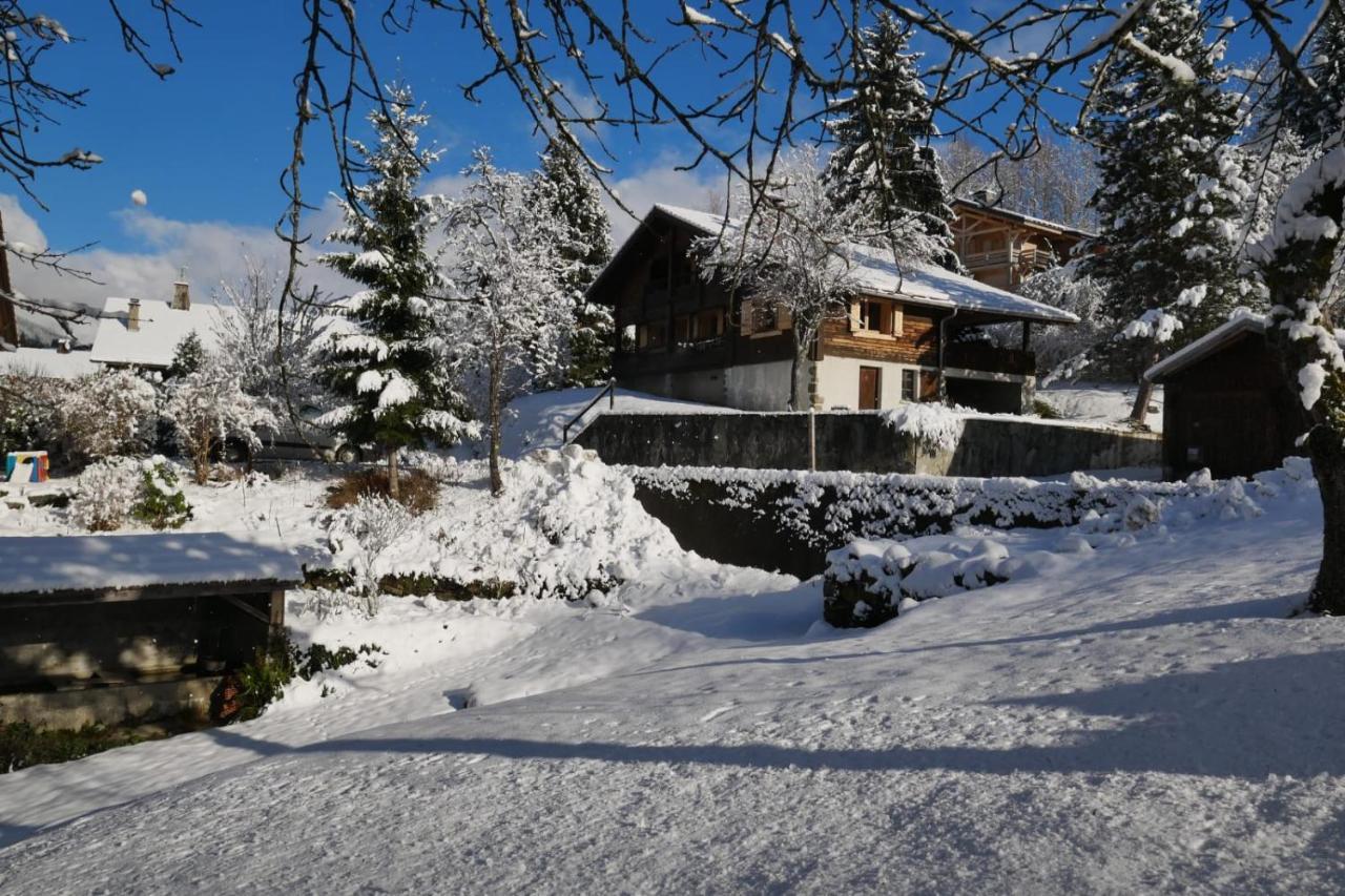 Sous Les Ecotagnes Villa Les Villards-sur-Thônes Exteriör bild