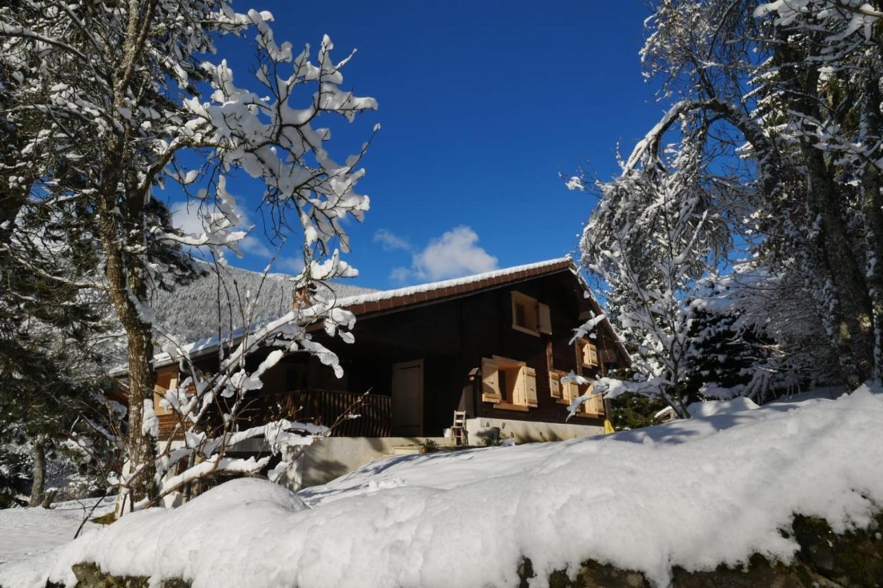 Sous Les Ecotagnes Villa Les Villards-sur-Thônes Exteriör bild